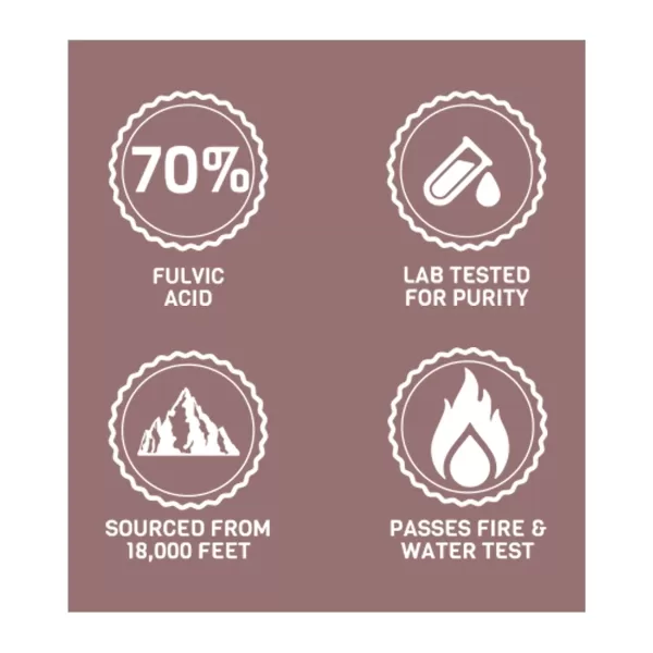 Pure Himalayan Shilajit | Premium Shilajit Resin 20g